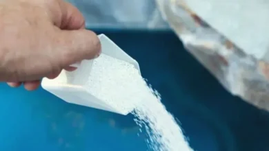 بهترین پودر کلر برای ضدعفونی استخر شنا